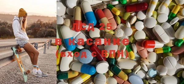 прущие грибы Аркадак