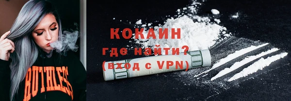 прущие грибы Аркадак